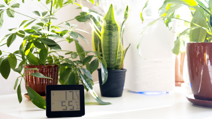 Luftfuktighet inomhus – vilken fuktighet är bäst?
