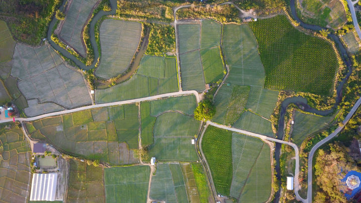 Stycka av en tomt – med eller utan byggnad